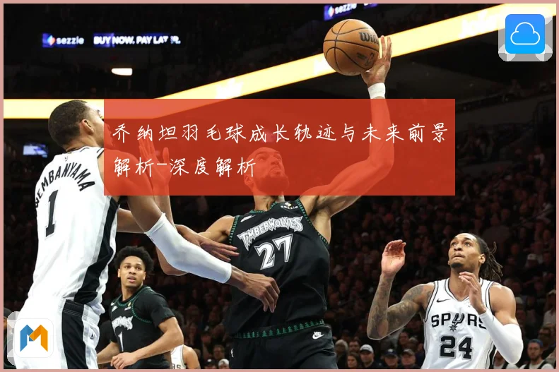 乔纳坦羽毛球成长轨迹与未来前景解析-深度解析